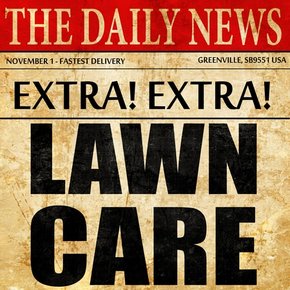 The Daily News Lawn Care